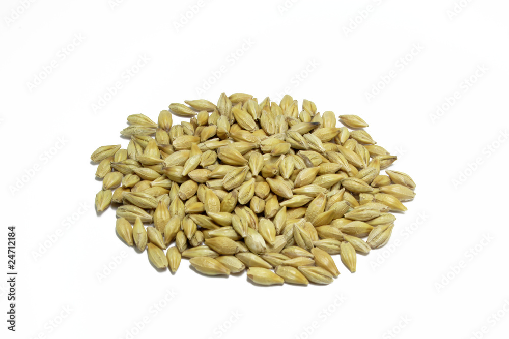 gerstenkörner Stock-Foto | Adobe Stock