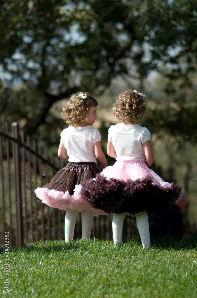 Naklejka premium twin toddler girls in pretty skirts