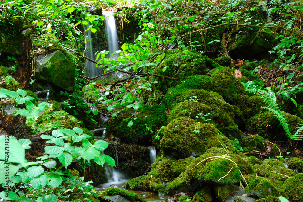 Obraz premium Mountain stream flowing