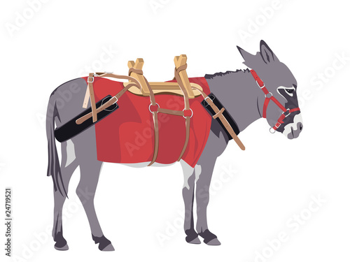 donkey wearing a packing harness