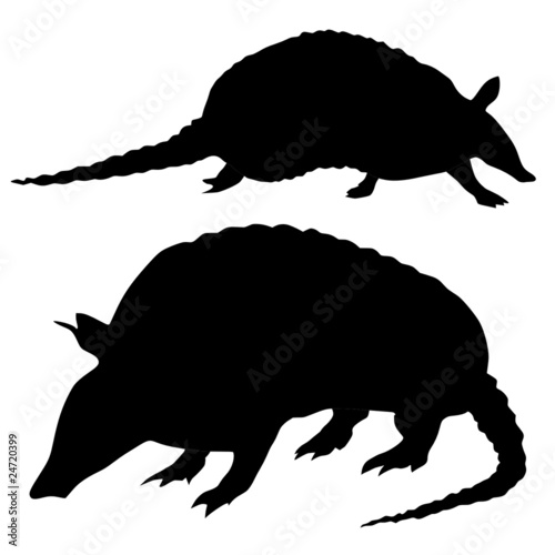 silhouettes of armadillos