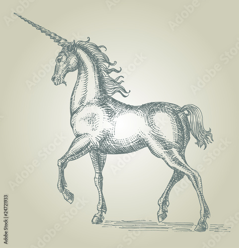 unicorn