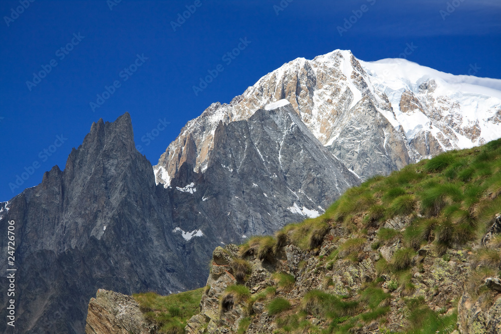 Monte Bianco e Aiguille Noire dal rifugio Bertone