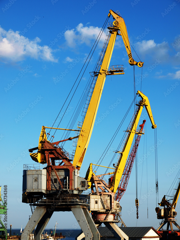 Marine cranes in cargo port closeup