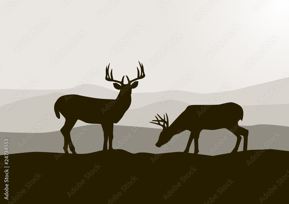 Deer silhouette Deer silhouette