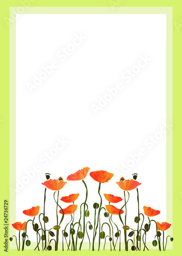 Маки Рамка 1 / Poppies Frame 1