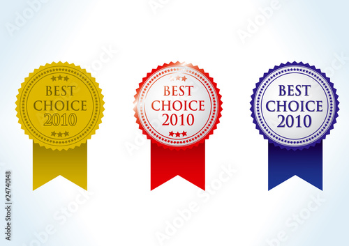 best choise 2010 award medal