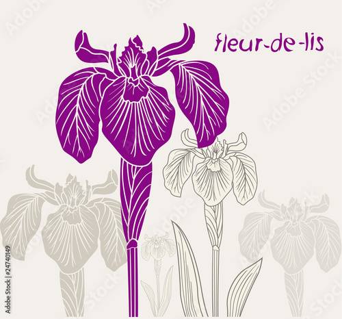 Iris vector image on beige background