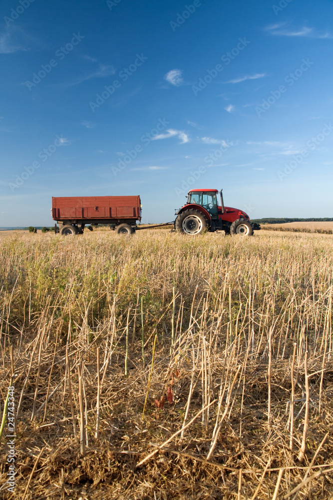 Fototapeta premium Agriculture - tractor