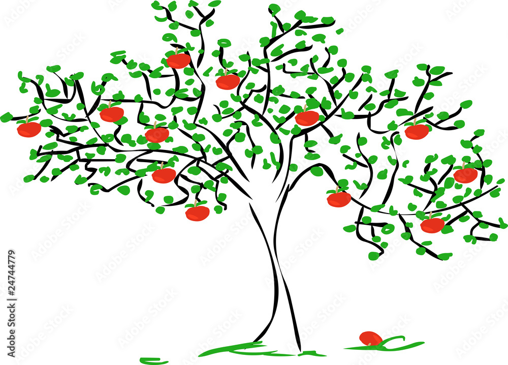 apfelbaum zeichnung Stock-Illustration | Adobe Stock