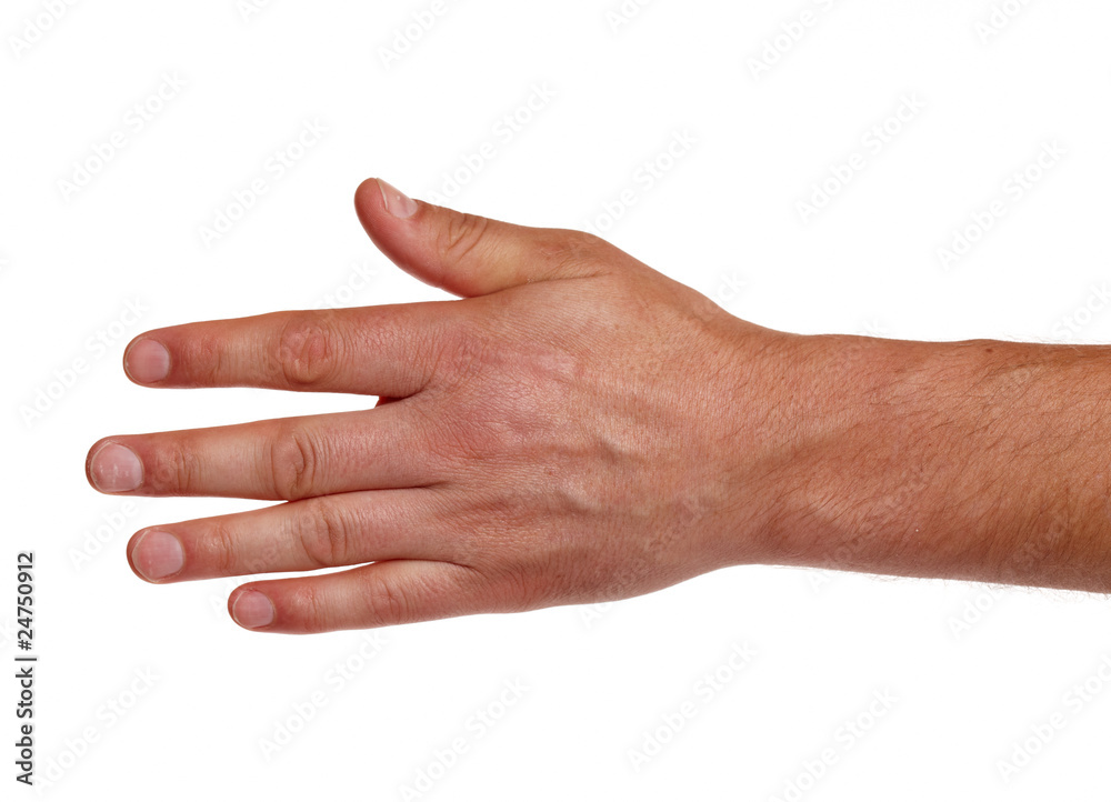 Linke Männerhand Linke Männerhand