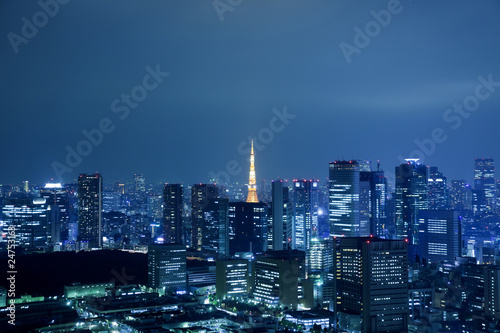 Photography View of Tokyo downtown at night with Tokyo Tower