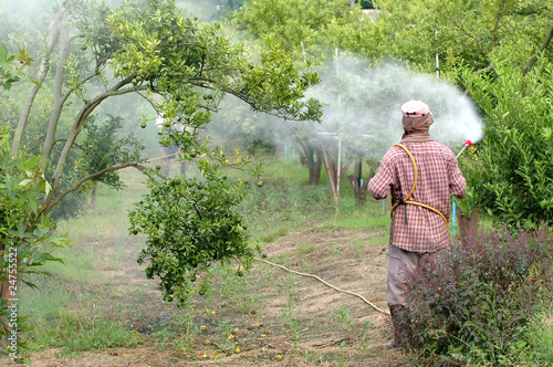 Obraz na plátně farmer spraying pesticide