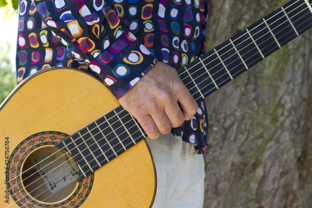 Obraz premium Guitare player