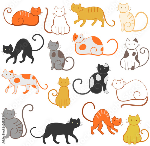 cats pattern