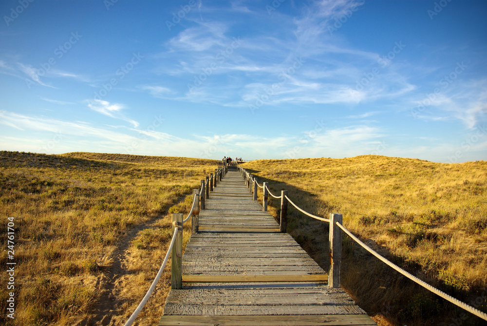 Fototapeta premium Dune Walkway