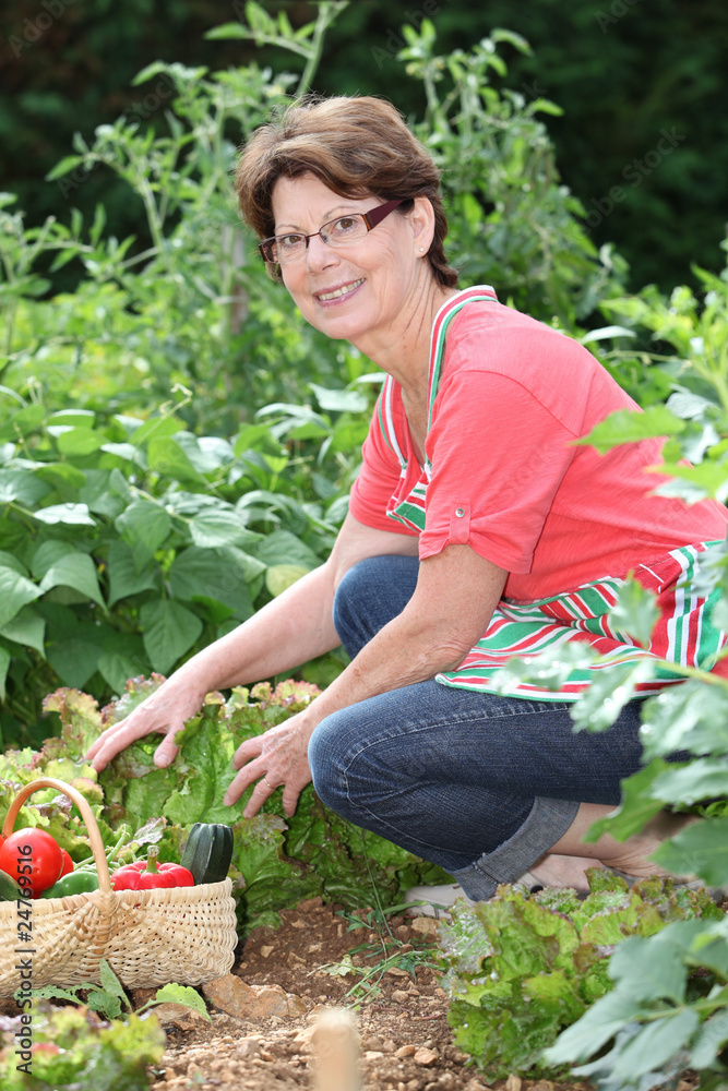 Fototapeta premium Senior woman picking vegetables in kitchen garden