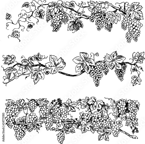 Creative grape bars