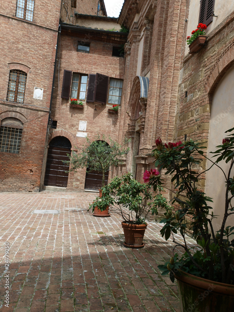 Siena - the medieval climate and characteristic colours