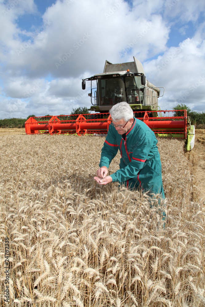 Obraz premium Farmer standing in wheat field during harvest season
