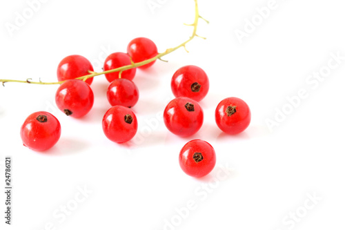 Currants