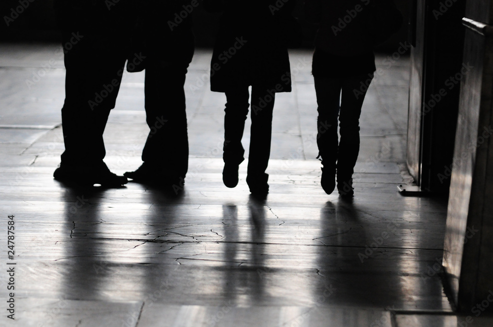 Obraz premium The silhouette