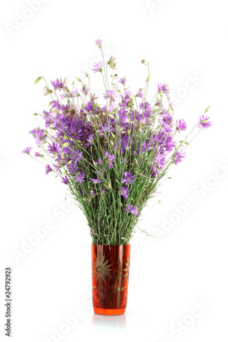 Dried bouquet in red vase on white background