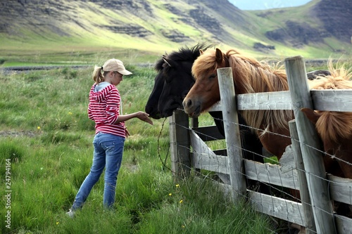Mädchen füttert Pferd in Island