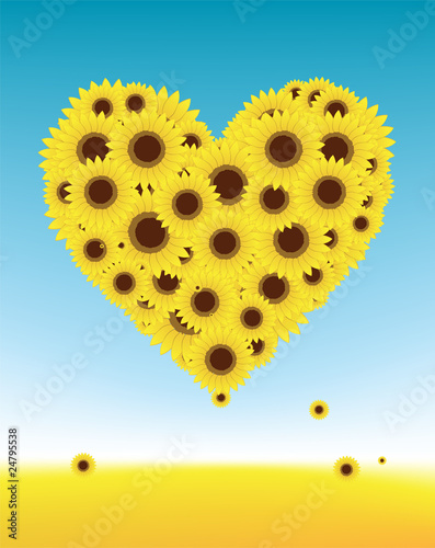 Sunflowers heart shape for your design, summer field