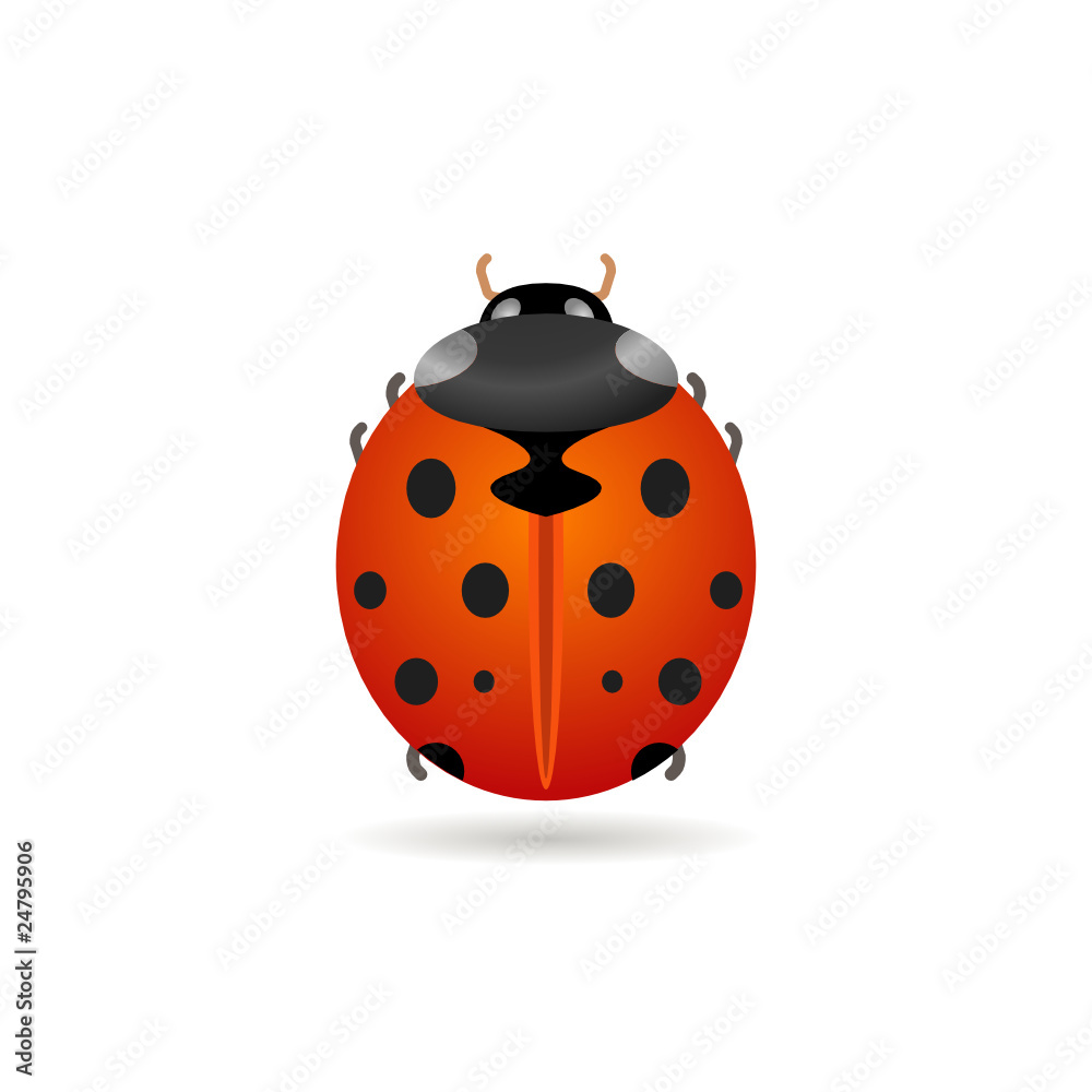 ladybug ladybug