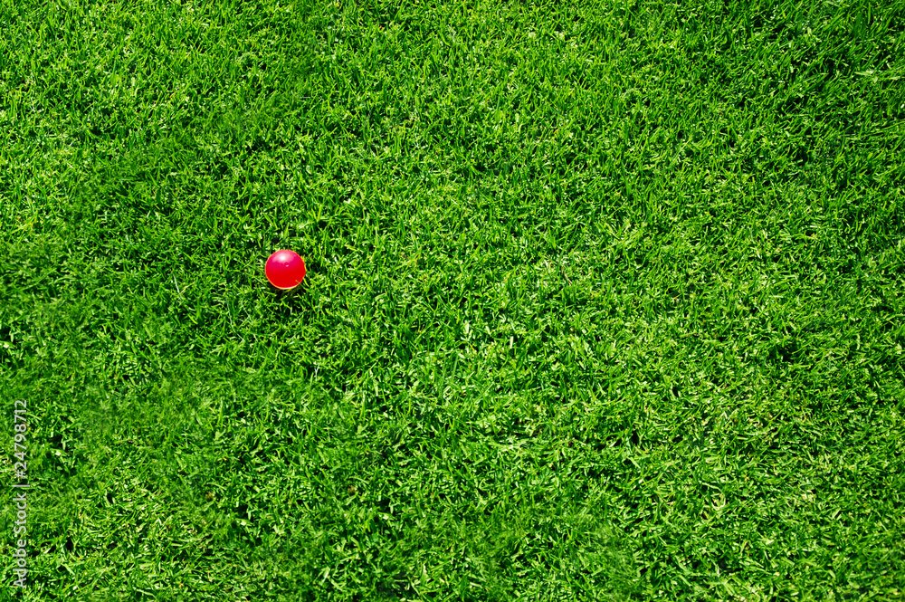 Fototapeta premium green grass pink ball