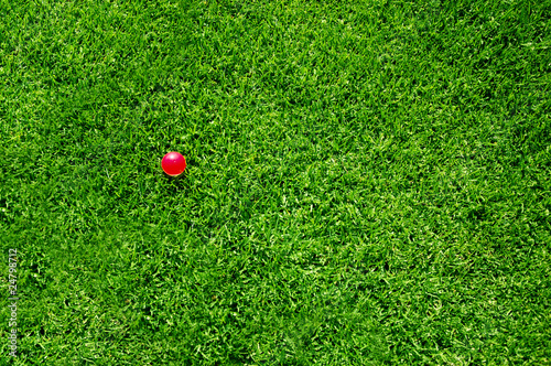 green grass pink ball