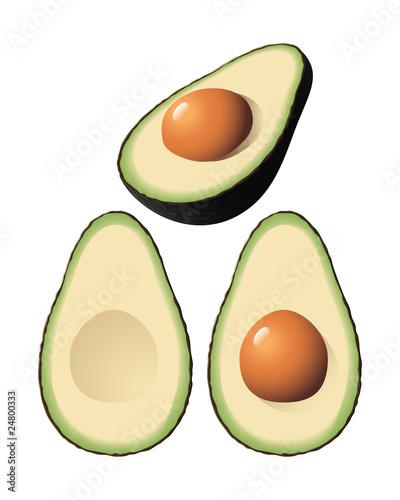 An isolated vector avocado and two halves