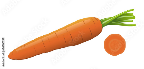 An isolated vector carrot and a slice