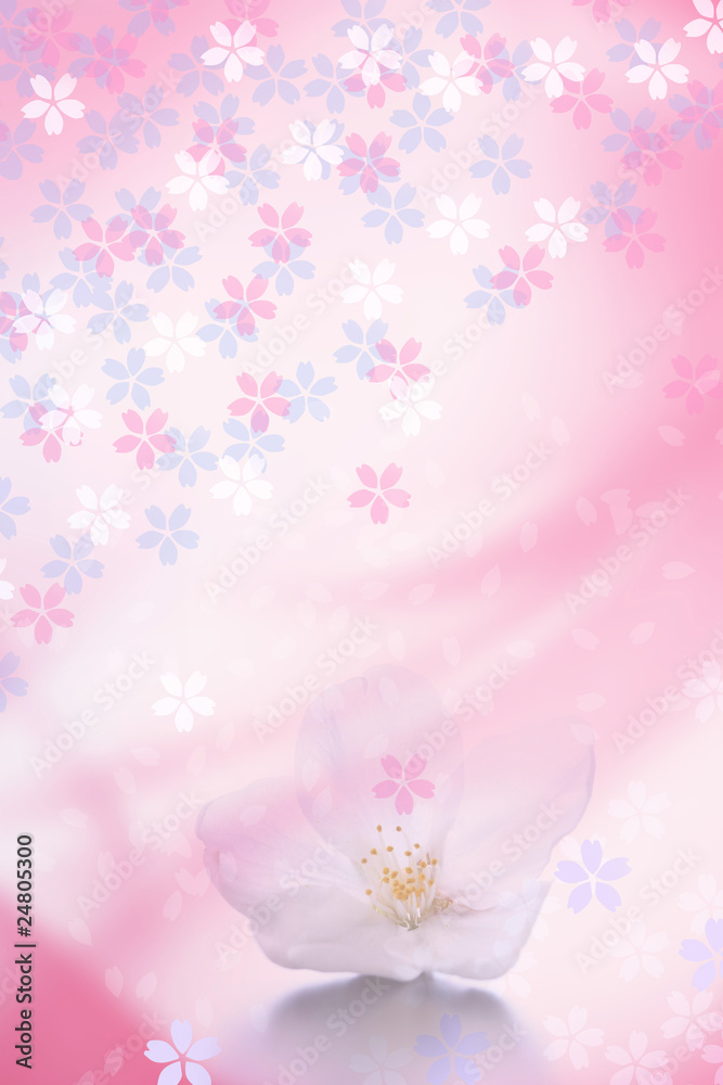 桜