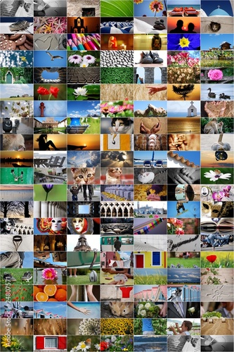 collage photo