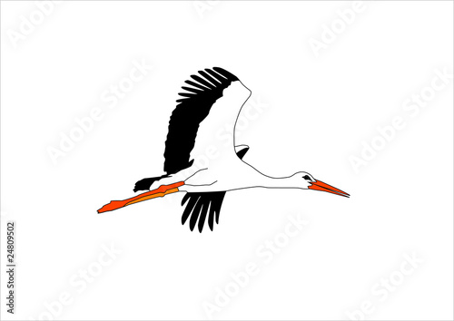 flying stork