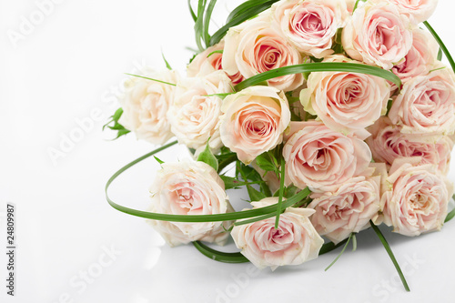 Beautiful Roses