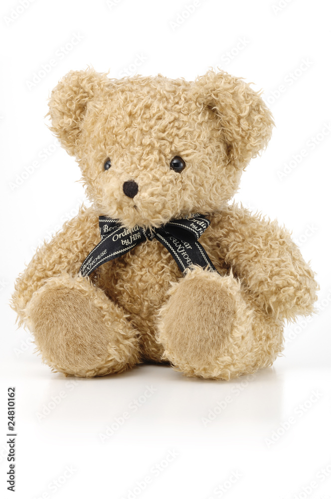 Obraz premium Teddy bear