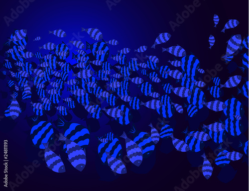shoals of fish in the deep