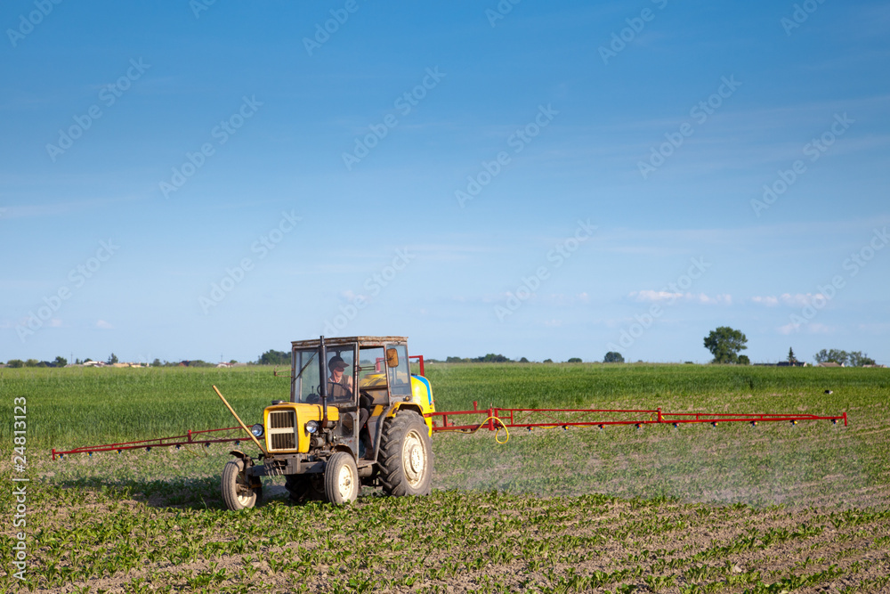 Obraz premium Tractor fertilizing beetroot field