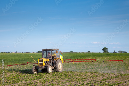 Tractor fertilizing beetroot field
