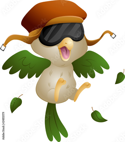 Pilot Bird