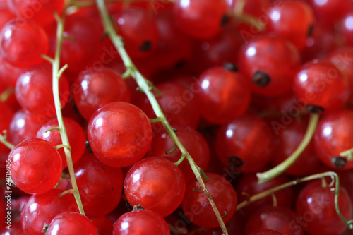 Currants
