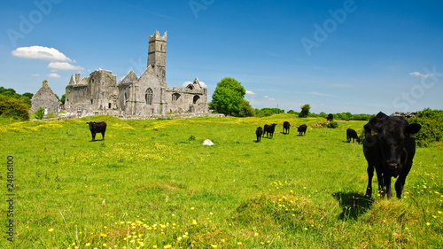 scenic irish ancient church abbey ruins landscape