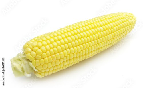 Corn