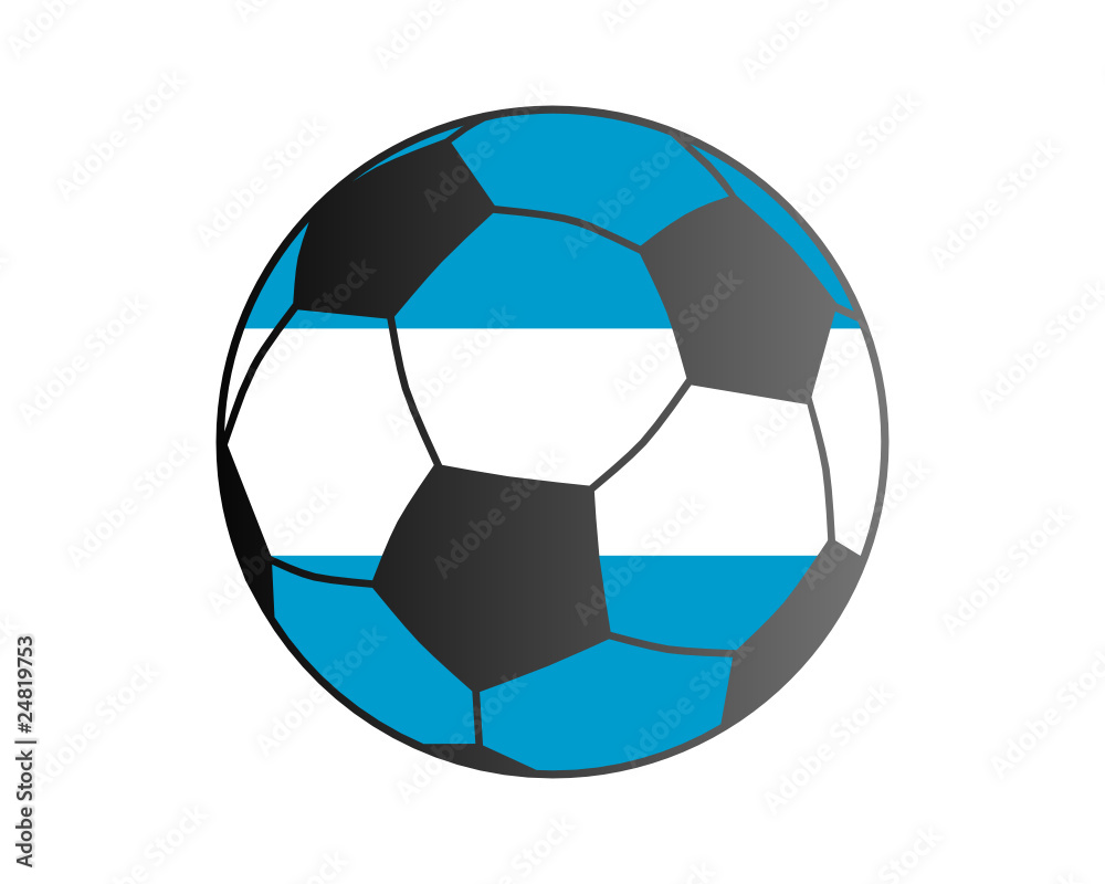 Fototapeta premium Fahne von Argentinien und Fußball
