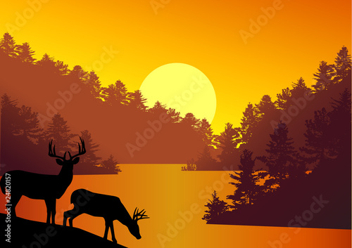 Nature background