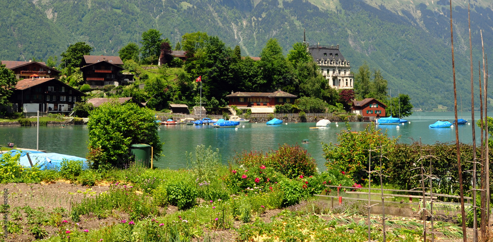 suisse lake