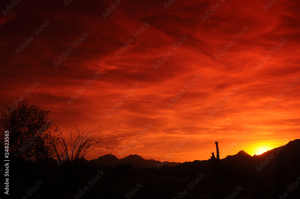 Obraz premium Arizona Sunset